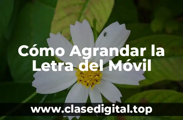 Cómo Agrandar la Letra del Móvil