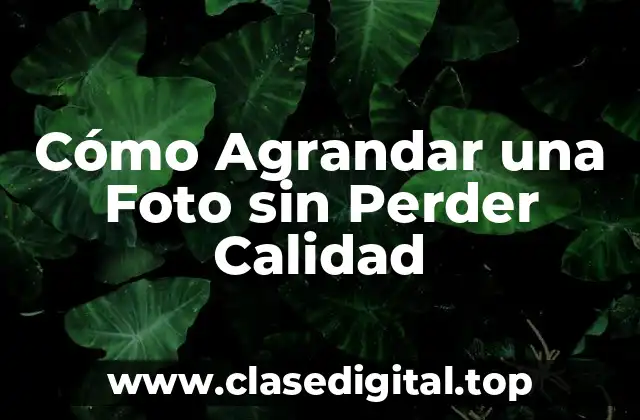 Cómo Agrandar una Foto sin Perder Calidad