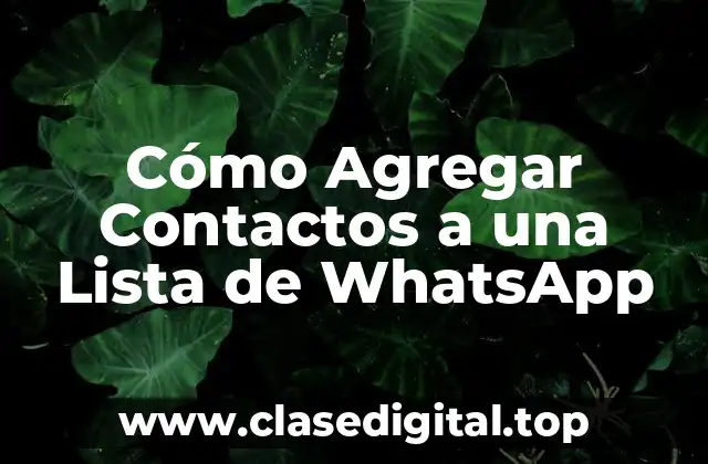 Cómo Agregar Contactos a una Lista de WhatsApp