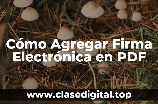 Cómo Agregar Firma Electrónica en PDF
