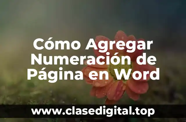 Cómo Agregar Numeración de Página en Word