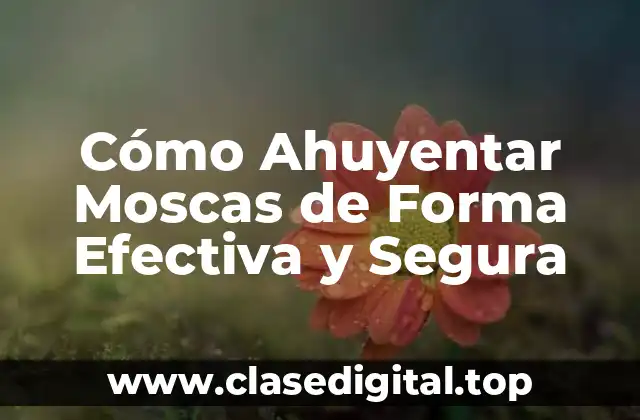 Cómo Ahuyentar Moscas de Forma Efectiva y Segura