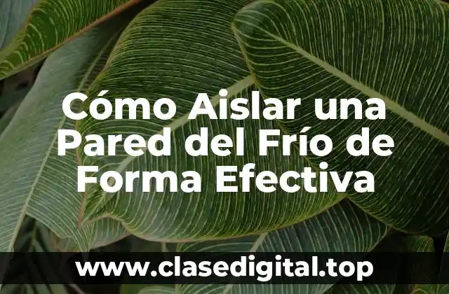 Cómo Aislar una Pared del Frío de Forma Efectiva