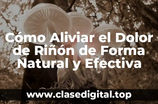 Cómo Aliviar el Dolor de Riñón de Forma Natural y Efectiva
