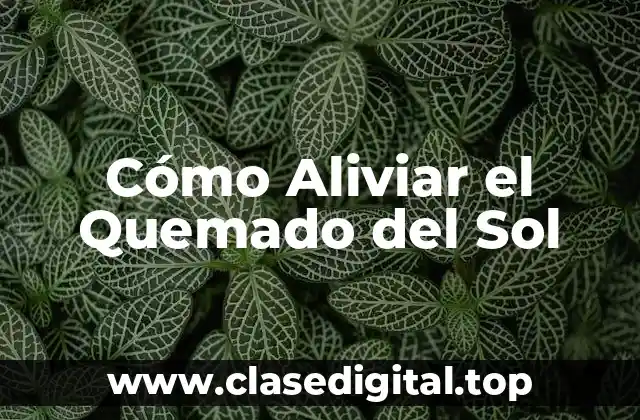 Cómo Aliviar el Quemado del Sol