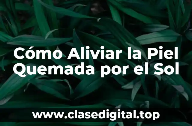 Cómo Aliviar la Piel Quemada por el Sol