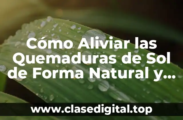 Cómo Aliviar las Quemaduras de Sol de Forma Natural y Rápida