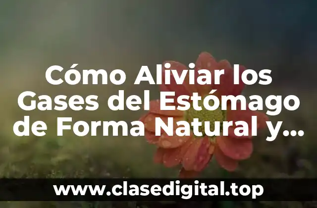 Cómo Aliviar los Gases del Estómago de Forma Natural y Efectiva