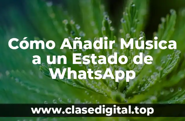 Cómo Añadir Música a un Estado de WhatsApp