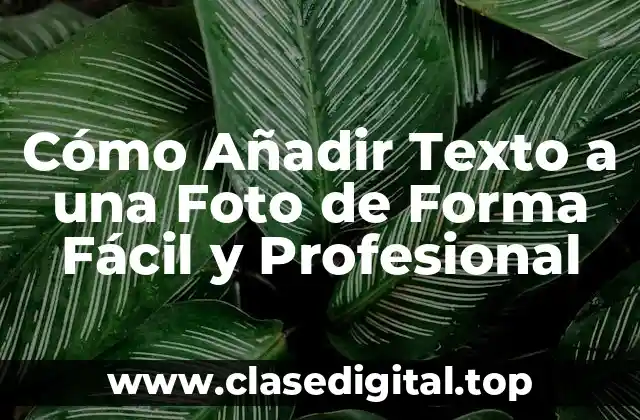 Cómo Añadir Texto a una Foto de Forma Fácil y Profesional