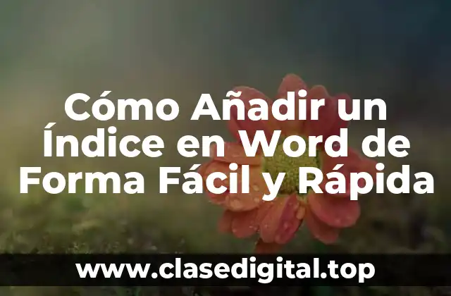Cómo Añadir un Índice en Word de Forma Fácil y Rápida