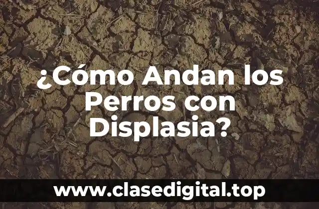 ¿Cómo Andan los Perros con Displasia?