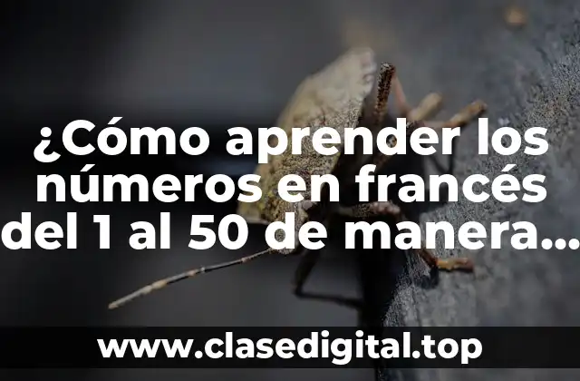 ¿Cómo aprender los números en francés del 1 al 50 de manera efectiva?