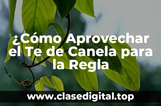 ¿Cuáles son los Beneficios del Te de Canela para la Regla?