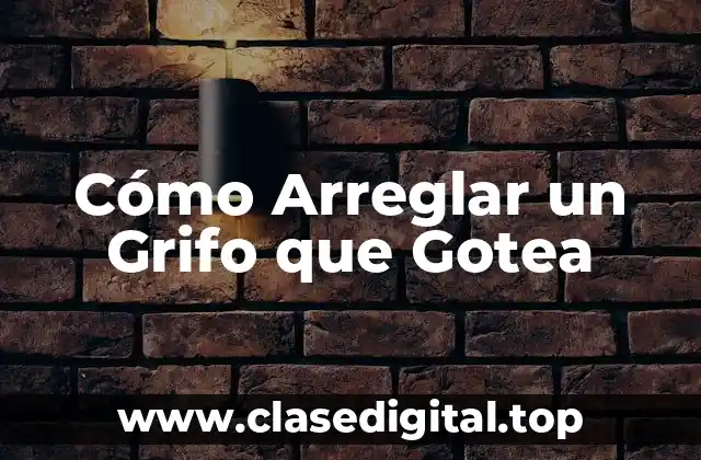 Cómo Arreglar un Grifo que Gotea