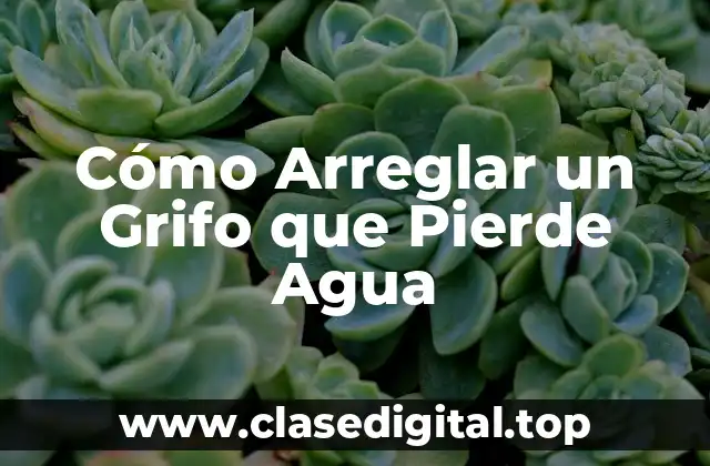 Cómo Arreglar un Grifo que Pierde Agua