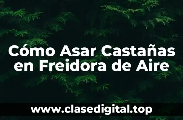 Cómo Asar Castañas en Freidora de Aire