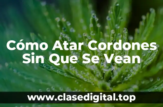 Cómo Atar Cordones Sin Que Se Vean