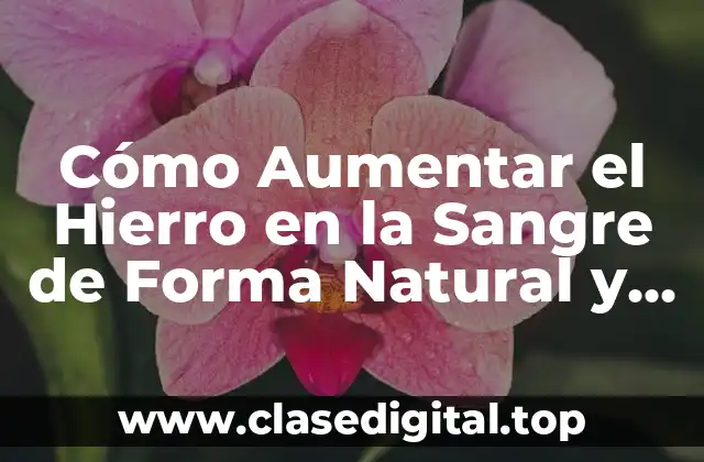 Cómo Aumentar el Hierro en la Sangre de Forma Natural y Eficiente