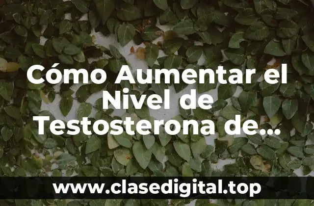 Cómo Aumentar el Nivel de Testosterona de Forma Natural y Segura