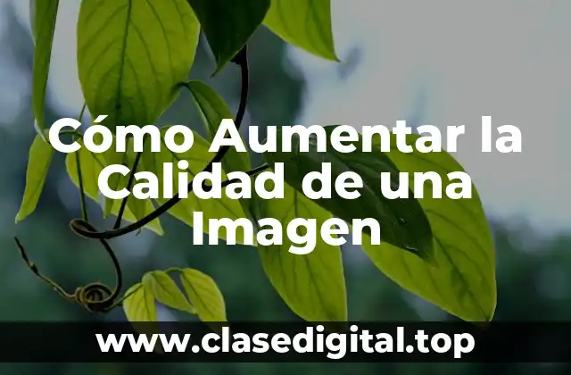 ¿Por qué es Importante la Calidad de una Imagen?