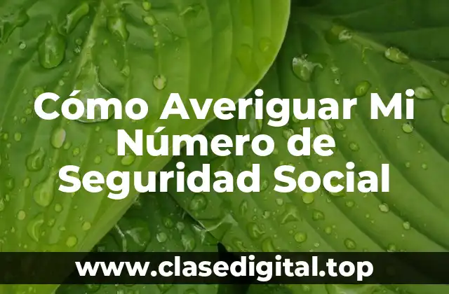 Cómo Averiguar Mi Número de Seguridad Social