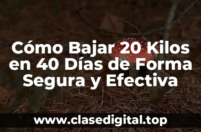 Cómo Bajar 20 Kilos en 40 Días de Forma Segura y Efectiva