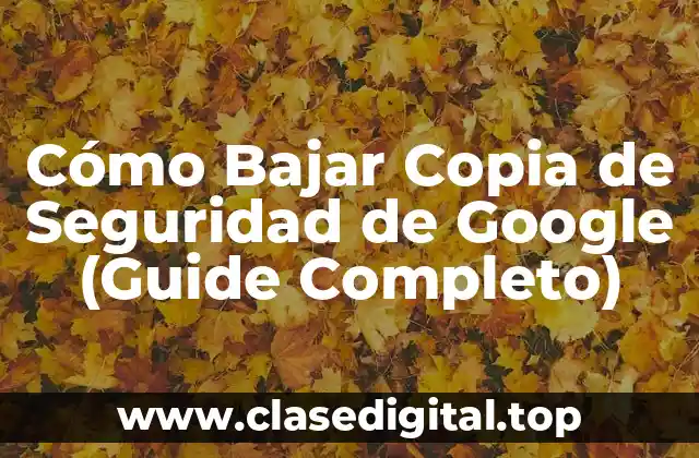 ¿Por qué es Importante Bajar Copia de Seguridad de Google?