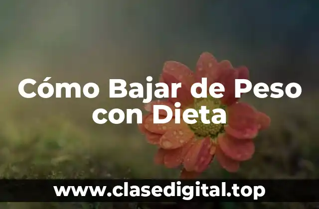 Cómo Bajar de Peso con Dieta