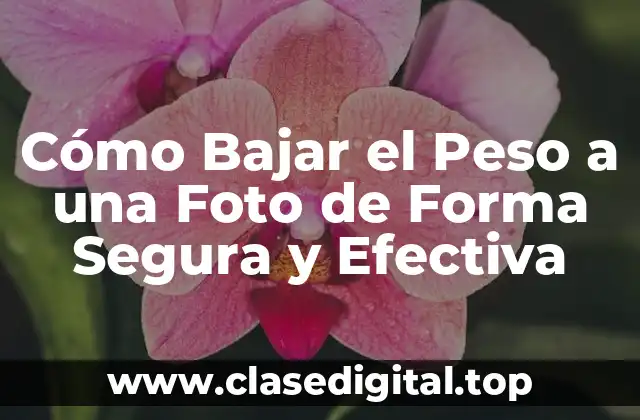 Cómo Bajar el Peso a una Foto de Forma Segura y Efectiva
