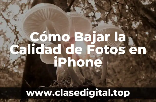 Cómo Bajar la Calidad de Fotos en iPhone