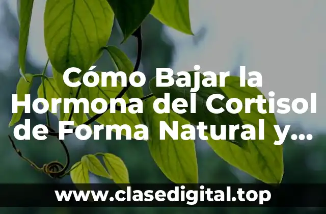 Cómo Bajar la Hormona del Cortisol de Forma Natural y Segura