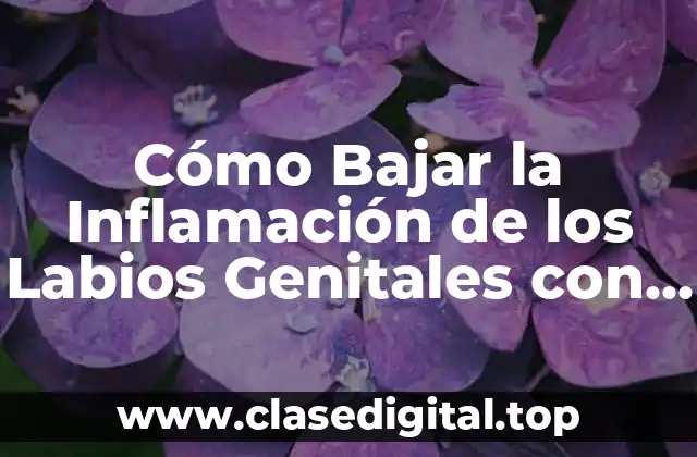 Cómo Bajar la Inflamación de los Labios Genitales con Medicamentos
