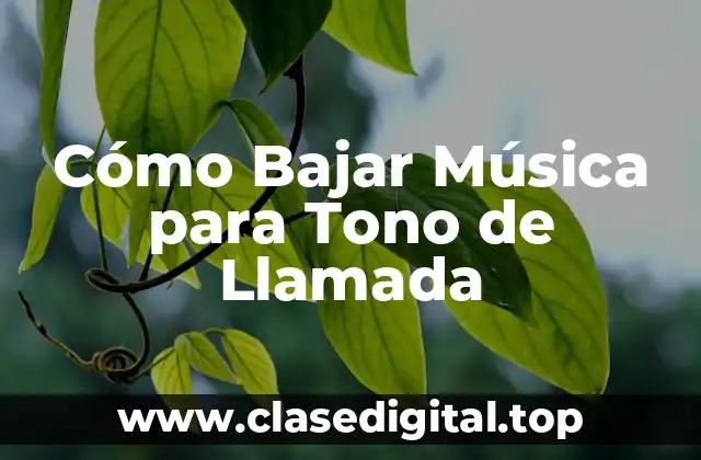 Cómo Bajar Música para Tono de Llamada