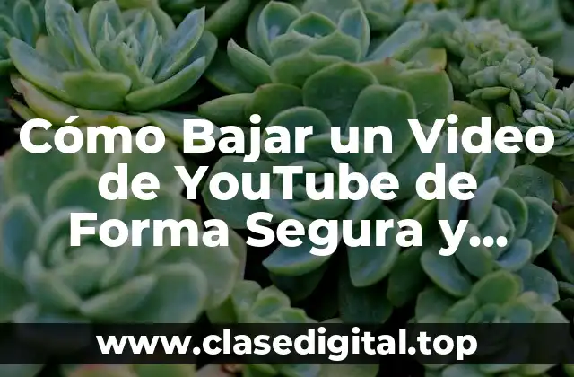Cómo Bajar un Video de YouTube de Forma Segura y Legal