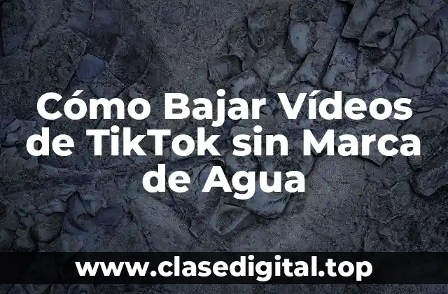 Cómo Bajar Vídeos de TikTok sin Marca de Agua