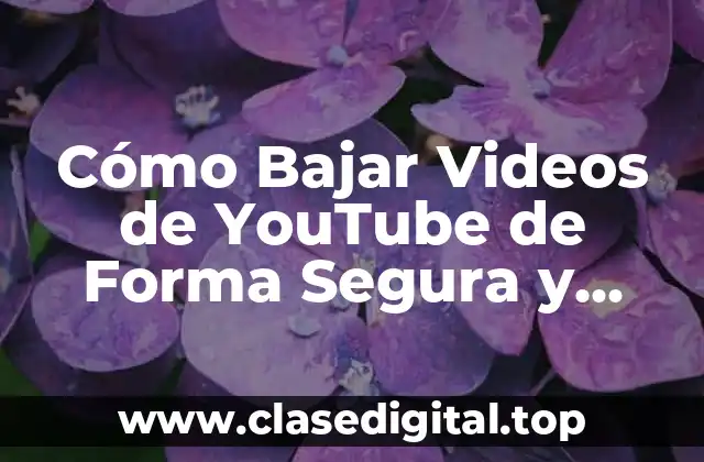 Cómo Bajar Videos de YouTube de Forma Segura y Gratuita