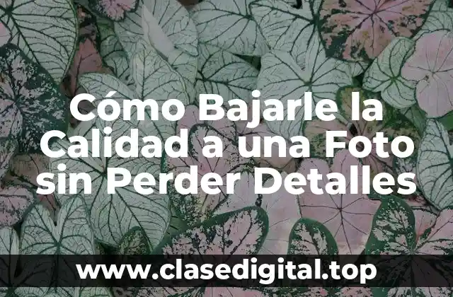 ¿Por qué Reducir la Calidad de una Foto?