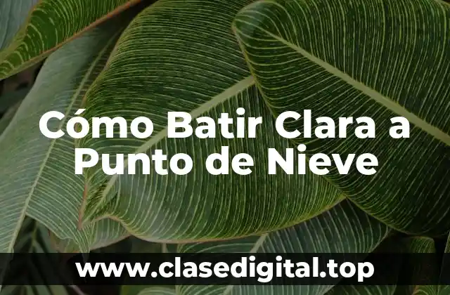 Cómo Batir Clara a Punto de Nieve
