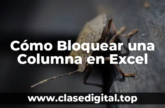 ¿Por qué Bloquear una Columna en Excel es Importante?