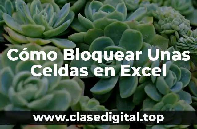 ¿Por qué Proteger Celdas en Excel es Importante?