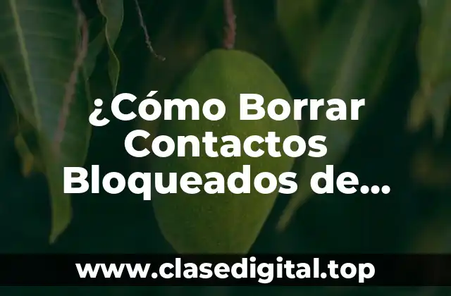 ¿Cómo Borrar Contactos Bloqueados de WhatsApp?