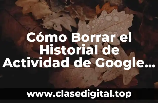 ¿Por qué Debes Borrar tu Historial de Actividad de Google?