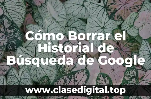 Cómo Borrar el Historial de Búsqueda de Google