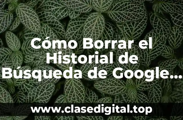 Cómo Borrar el Historial de Búsqueda de Google de Forma Permanente
