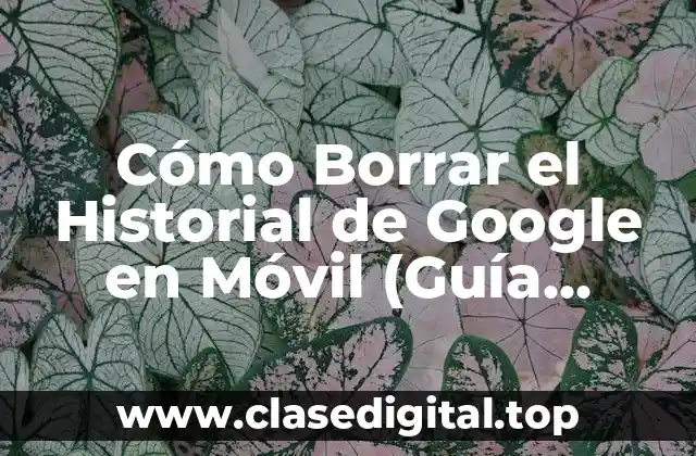 Cómo Borrar el Historial de Google en Móvil (Guía Completa)