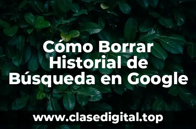Cómo Borrar Historial de Búsqueda en Google