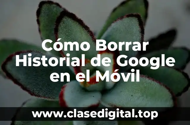 Cómo Borrar Historial de Google en el Móvil