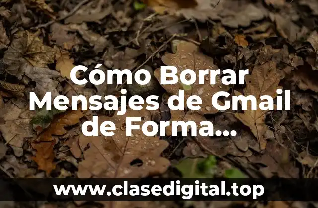 Cómo Borrar Mensajes de Gmail de Forma Permanente
