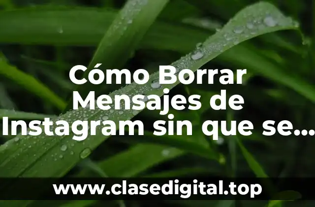 Cómo Borrar Mensajes de Instagram sin que se den Cuenta